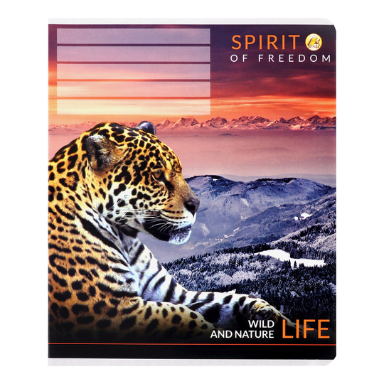 Зошит 24ар.Тетрада Люкс карт.обкл.49131