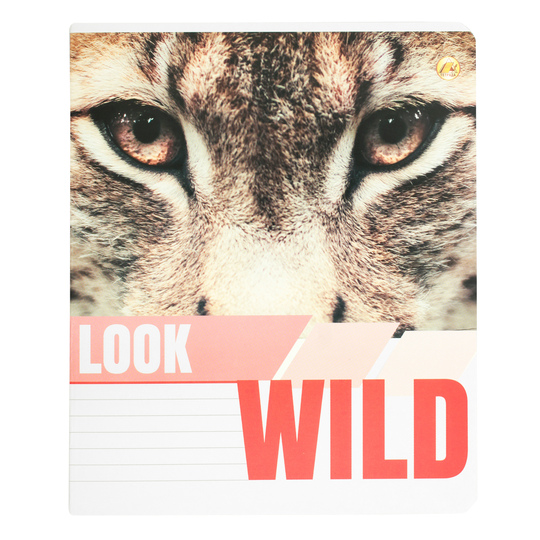 Зошит 48ар.Тетрада Люкс кар.об.Дик.св.