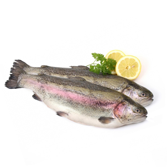 Форель радужна охолоджена ваг