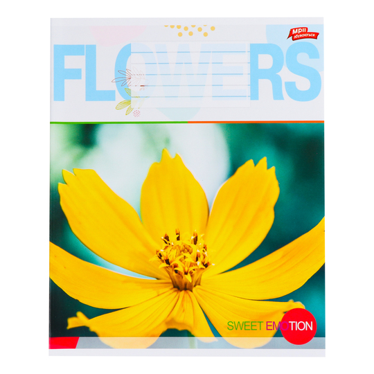 Зошит 36ар.лін.Мрії збуваються