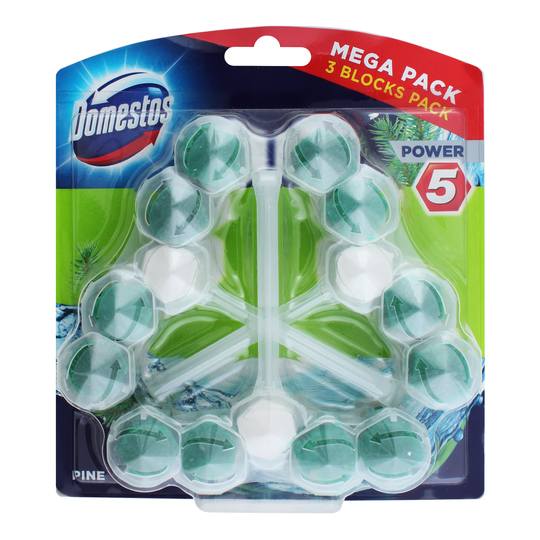 Блок д/ун.Domestos Св.Хвої power 5 165г