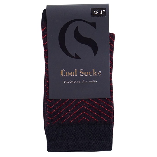 Шкарпетки чол.кл.CS зиг.чор.ч.р.25-27