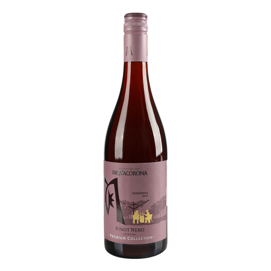 Вино Mezzacorona Pinot Nч/сухе12,5%0,75л