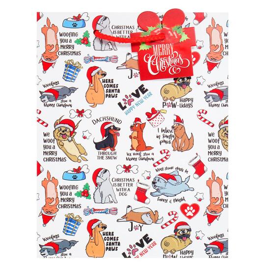 Пакет паперовий ASH GB-23116 18*23*10см