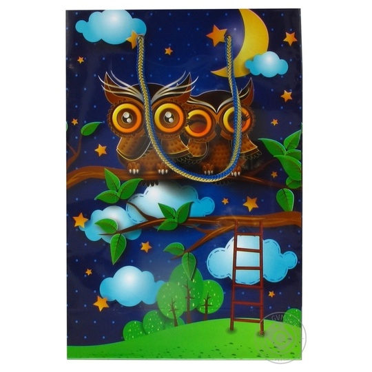 Пакет паперовий ПБС 255*170*70мм