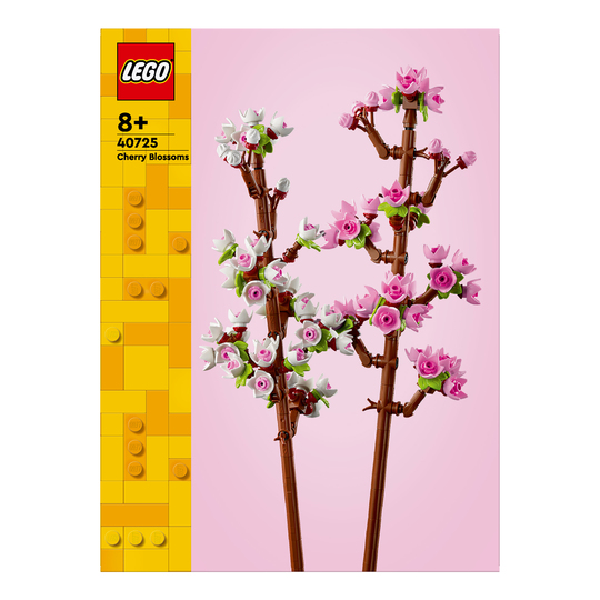 Конструктор LEGO 40725