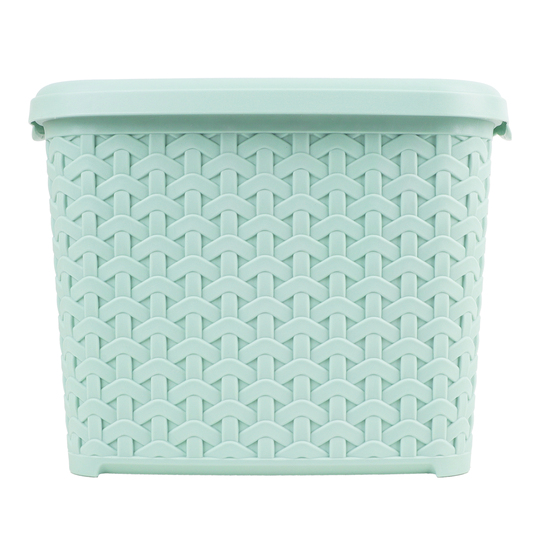 Кошик з кришкою світло-фісташковий 2,5л